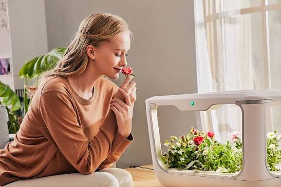 Pinpointing Growth Opportunities in Your Smart Garden System: A Practical Manager’s Roadmap